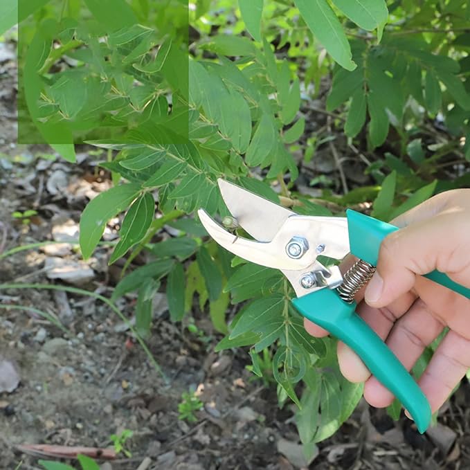 Conjunto de Herramientas de Jardinería